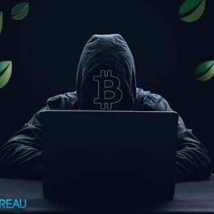 Professional Bitcoin recovery expert analyzing blockchain transactions to show how to hire a Bitcoin recovery expert for tracing stolen funds.