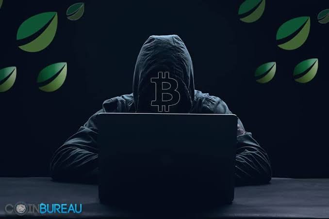 Professional Bitcoin recovery expert analyzing blockchain transactions to show how to hire a Bitcoin recovery expert for tracing stolen funds.